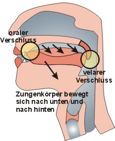 Schnalz = velarisch ingressiv