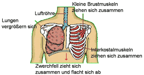 Einatmen