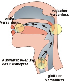 Ejektiv = glottalisch egressiv