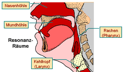 Resonanzräume im Kopf