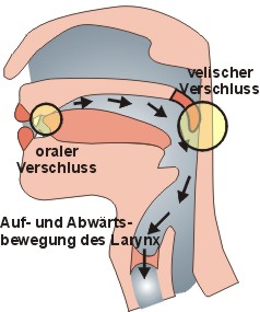 Implosiv = glottalisch ingressiv