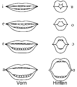 Lippenstellungen der Kardinalvokale