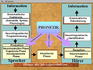 Zweige der Phonetik