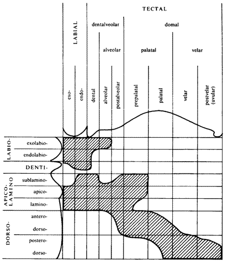 Anatomisch mögliche orale Artikulationen