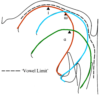 Vokalgrenze