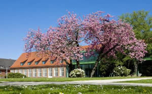 Jacobs University Campus Center